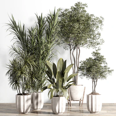 indoor plant - set 60 — Вид 1