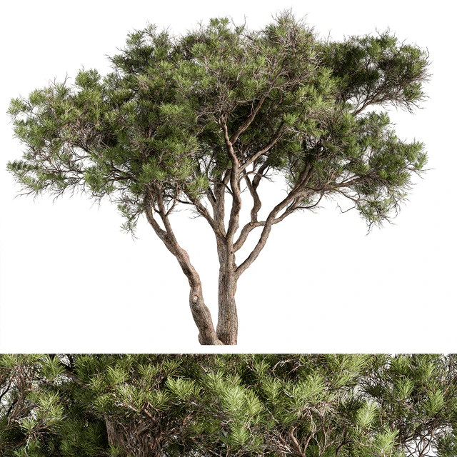 Stone Pine Tree Set 190 — Скачать