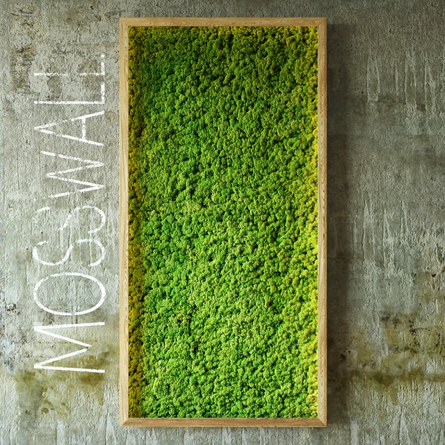 Moss wall — Скачать