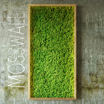 Moss wall — Вид 1
