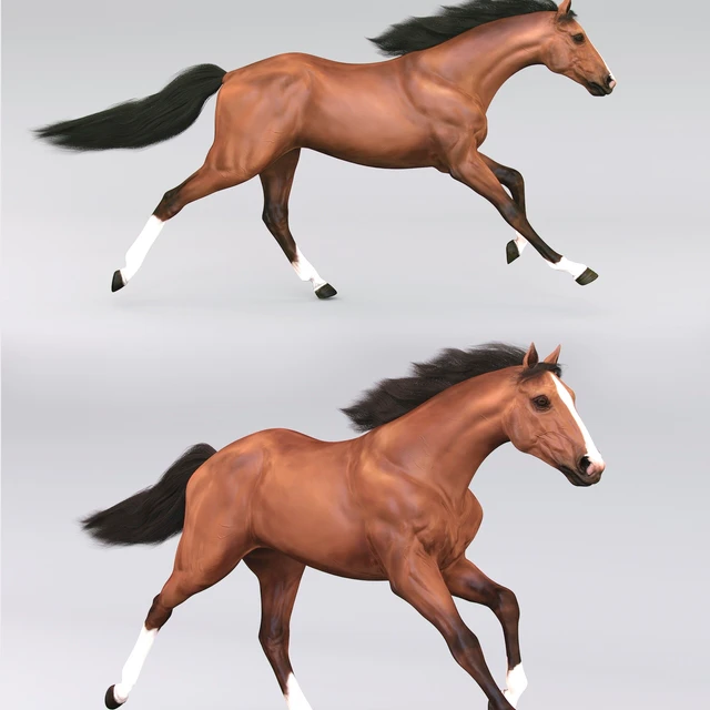 Running horse 02 — Descargar