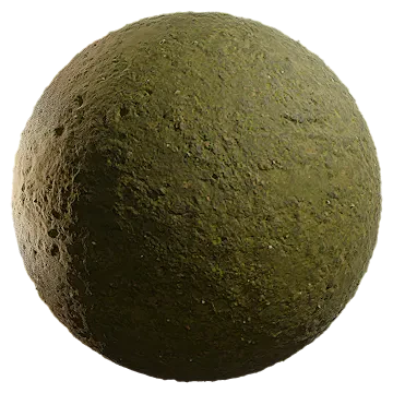 mossy soil 004 — Descargar