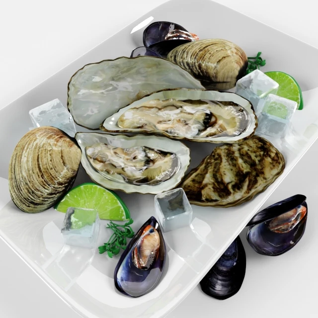 Clams to the table — Descargar
