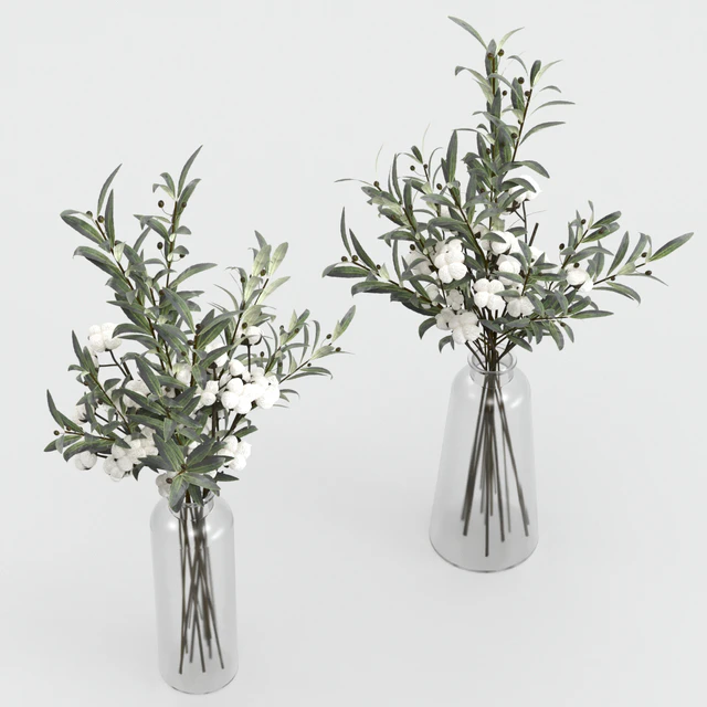Bouquets of olives and cotton. — Descargar