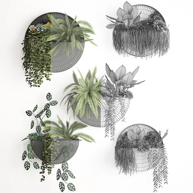 Vertical gardening. 56 Garden, wall decor, ferns, succulents, black metal shelf, flowers, loft, hanging plants, hanging down — Descargar