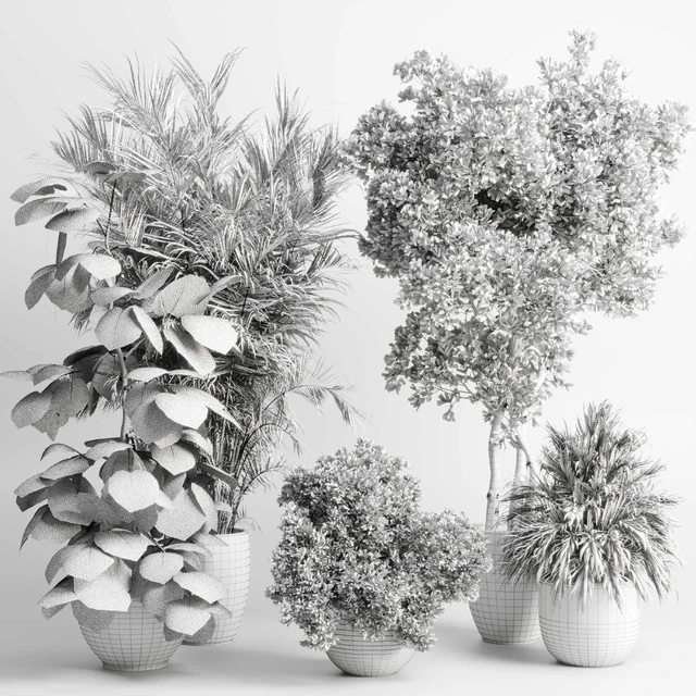 indoor plant set 452 plant bush monstera tree vase dirty concrete — Скачать