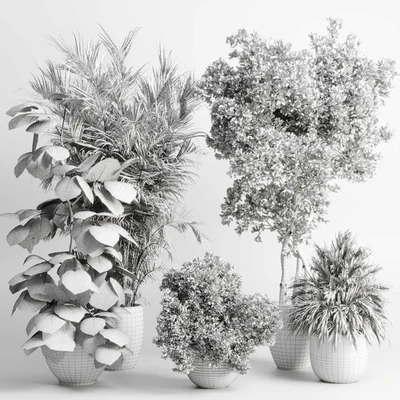 indoor plant set 452 plant bush monstera tree vase dirty concrete — Вид 4