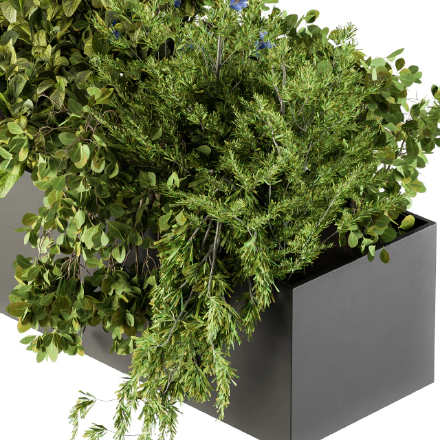 Outdoor Plant Set 208 - Plant Box Blue Flower — Descargar