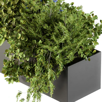Outdoor Plant Set 208 - Plant Box Blue Flower — Ver 5