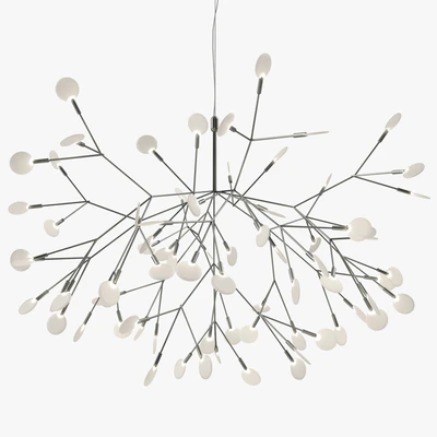 Heracleum II — Ver 1