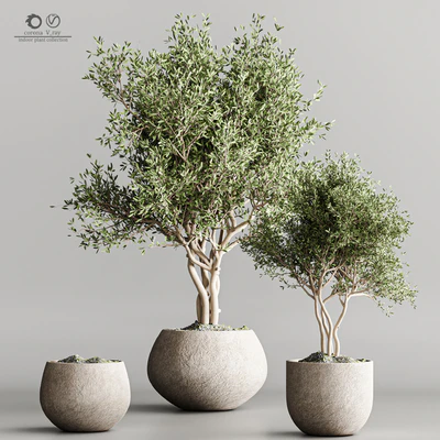 indoor plant stand 61 — Ver 5