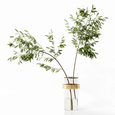 Collection Indoor Plants 058 — Ver 7