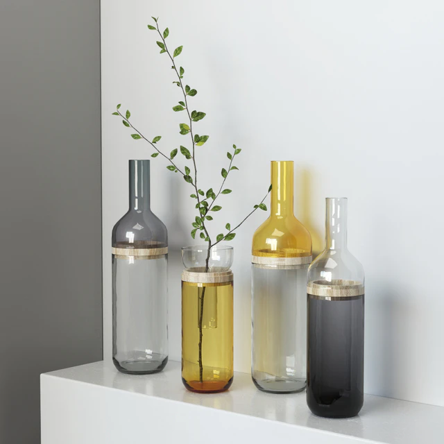Bottle Vase Duo set dekotivnyh vases — Descargar