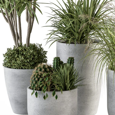 Outdoor Plant Set 233 - Plant in Pot Set — Ver 4