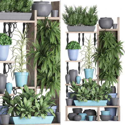 Plant Collection 367. Shelf with plants, fern, flowerpot, greenery, vertical garden, phytowall, phytomodule, pots, eco design — Ver 1