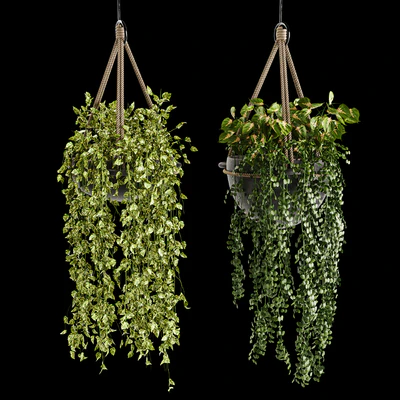 Indoor plant collection 02 — Ver 3