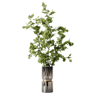 Plant 3 — Ver 6
