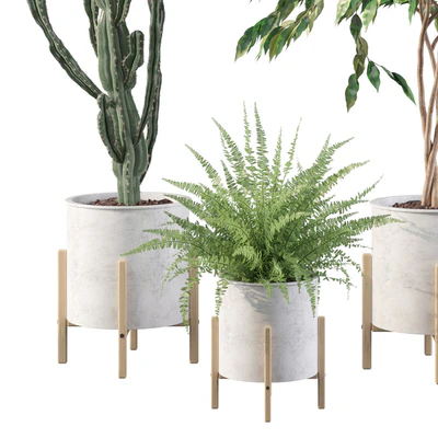 Plants collection 095 — Ver 4
