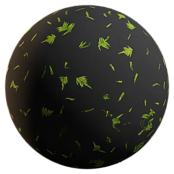 scattered buckler ferns 002 — Скачать
