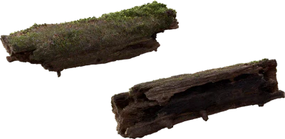 mossy log 001 — Descargar