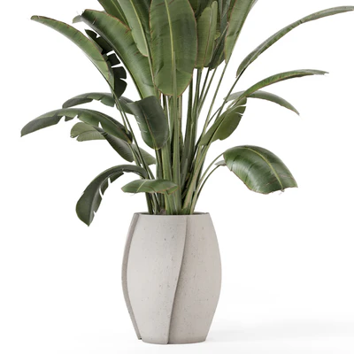 Indoor Plants  in rusty Concrete Pot - Set 1612 — Вид 4