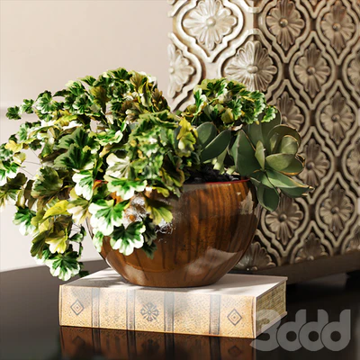 Uttermost/Curino — Вид 2