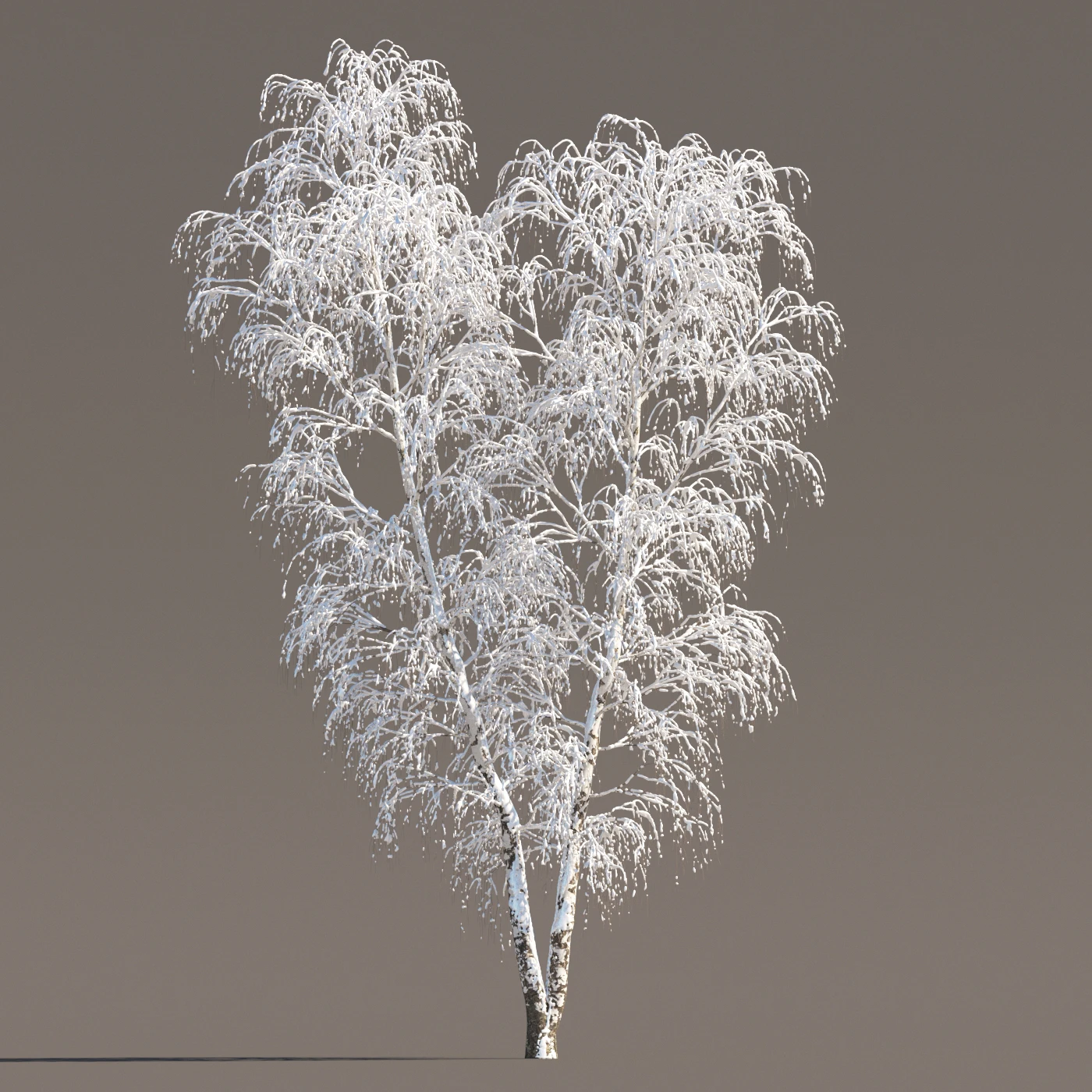 043 winter — Descargar