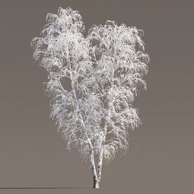 043 winter — Descargar