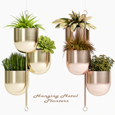 PLANT SET -79 — Ver 1