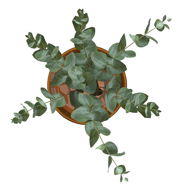 Bouquet 11 — Descargar
