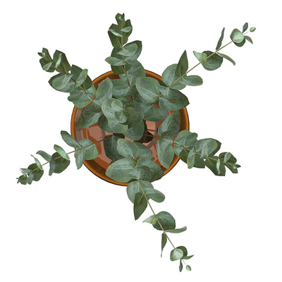 Bouquet 11 — Ver 4