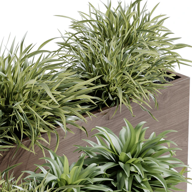 indoor plant set 65 — Descargar