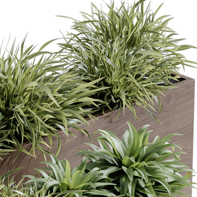 indoor plant set 65 — Ver 6