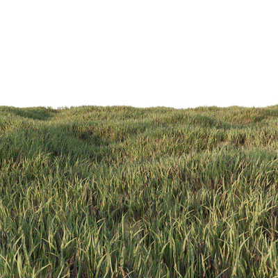 Grass Collection 5 — Ver 4