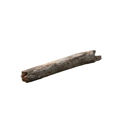 tree debris 024 — Descargar