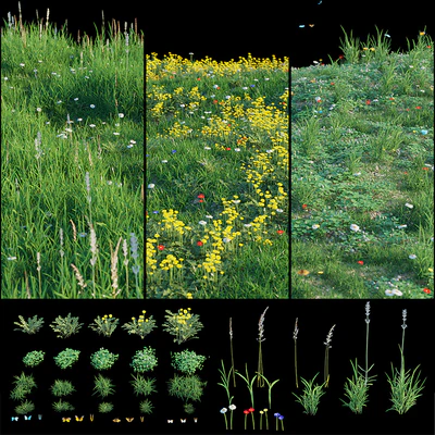 Set for landscaping 3 — Ver 1