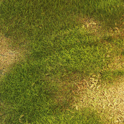 Grass with oak leaves — Ver 5