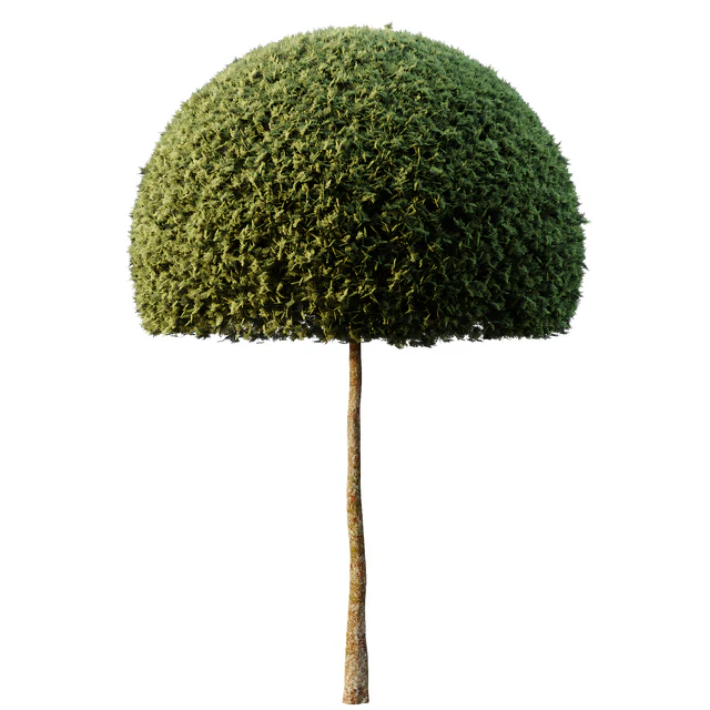 Spherical tree03 — Download