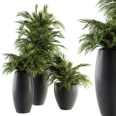 Indoor Plant Set 88 - Tropical — Ver 1