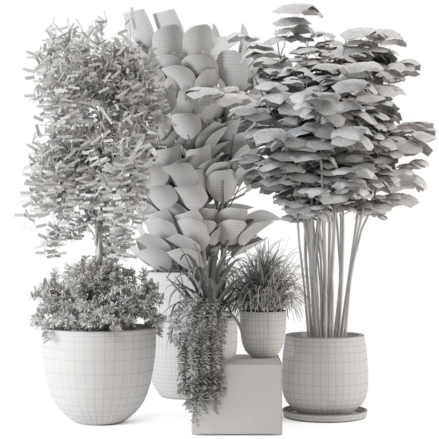 Indoor Plants in rusty Concrete Pot - Set 229 — Descargar