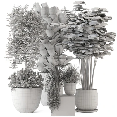 Indoor Plants in rusty Concrete Pot - Set 229 — Ver 6