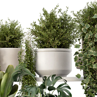 Indoor Hanging Plants in rusty Concrete Pot - Set 909 — Ver 6