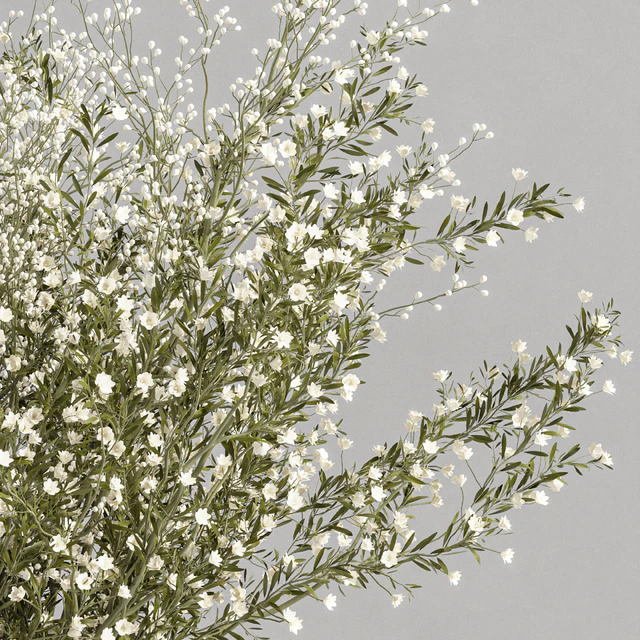 plants bouquet vase 16 — Descargar