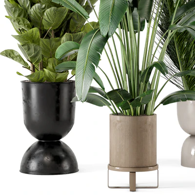 Indoor Plants in Ferm Living Bau Pot Large - Set 273 — Ver 5