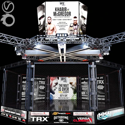 UFC Fighting Stage — download