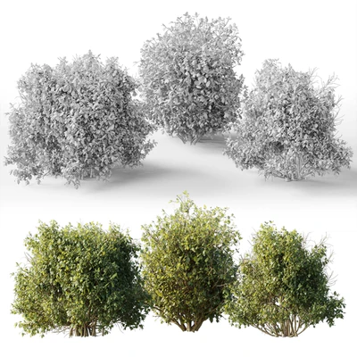 Collection mixed plants bush shrubs set 04 — Ver 4