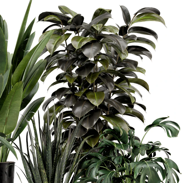 Indoor Plants in Ferm Living Bau Pot Large - Set 583 — Скачать
