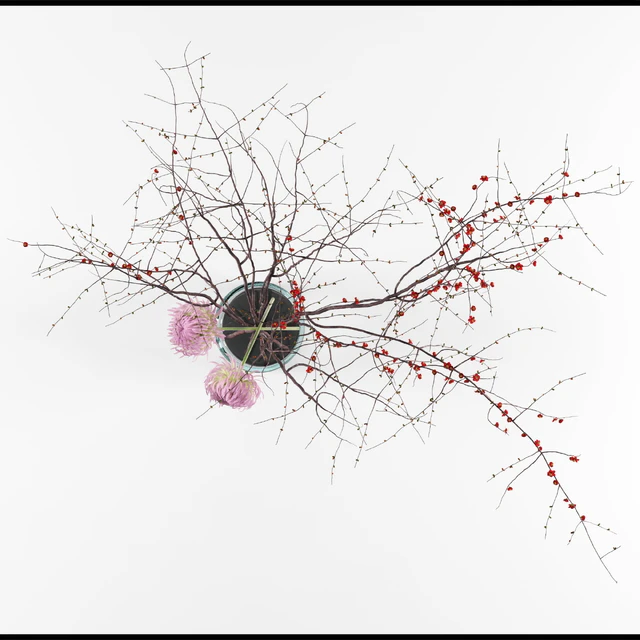 Prunus branches and chrysanthemums — Скачать