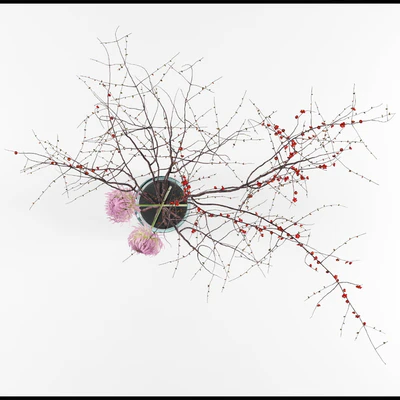 Prunus branches and chrysanthemums — Вид 2