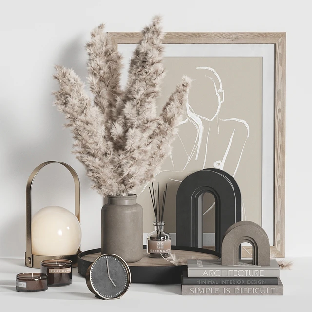 Decorative Set Dried Plant — Descargar